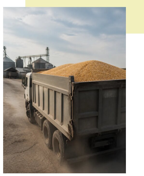 Перевозка сельхозпродукции навалом в Советскую Гавань по цене от 3117 р. | Агросервис-Свс
