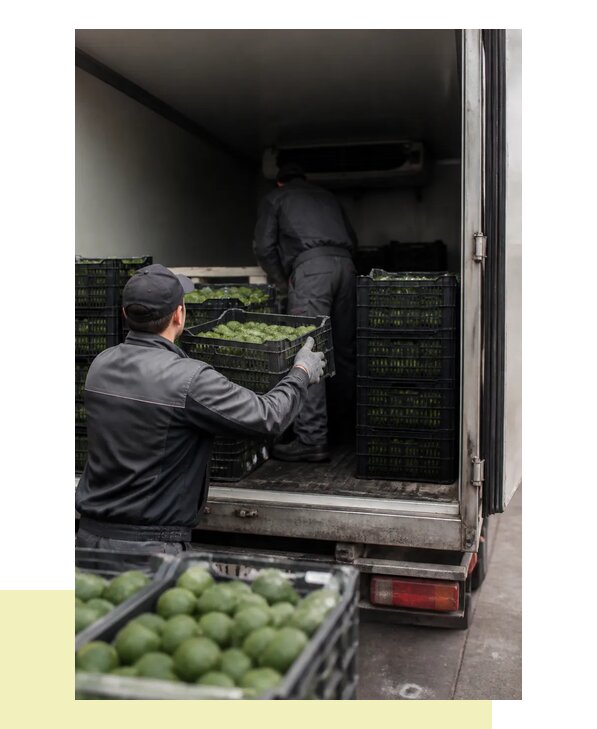 Перевозка фейхоа в Советскую Гавань с соблюдением температурного режима